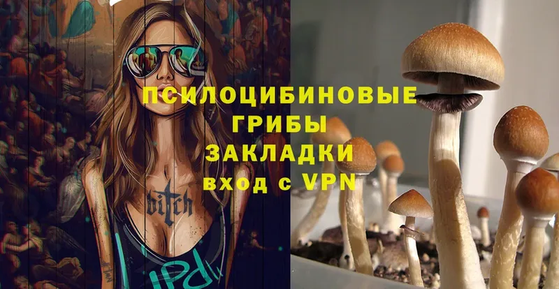 Псилоцибиновые грибы MAGIC MUSHROOMS  Алапаевск 